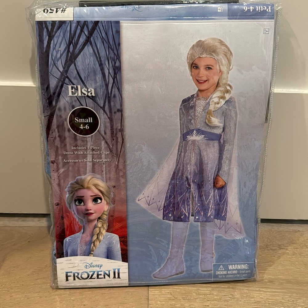 Frozen 2 Elsa Halloween Costume
